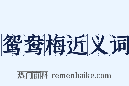 鸳鸯梅近义词是什么意思的图片